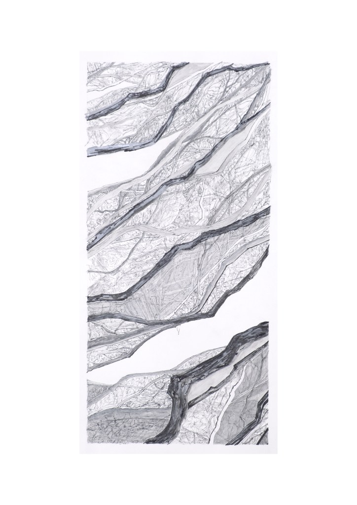 entre les branches 1