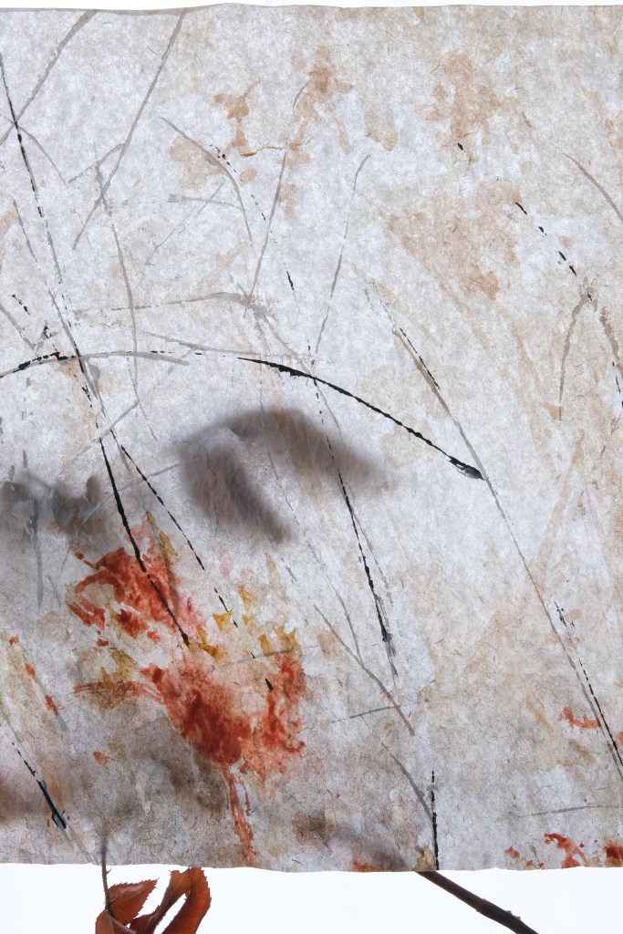 Feuille à feuille 1.3